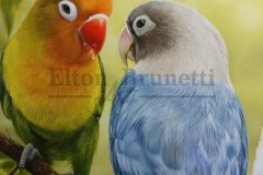 pintura-Agapornis-oleo-sobre-tela-painel-70-x-100-cm-01