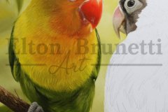 pintura-Agapornis-oleo-sobre-tela-painel-70-x-100-cm-04