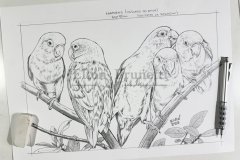 pintura-Agapornis-oleo-sobre-tela-painel-70-x-100-cm-05