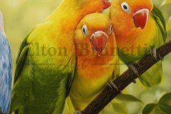 pintura-Agapornis-oleo-sobre-tela-painel-70-x-100-cm-06