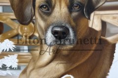 pintura-Amelia-oleo-sobre-tela-50-x-70-cm-por-Elton-Brunetti-03