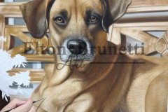 pintura-Amelia-oleo-sobre-tela-50-x-70-cm-por-Elton-Brunetti-04