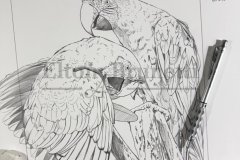 pintura-araras-vermelhas-oleo-sobre-tela-90-x-100-cm-Elton-Brunetti-02