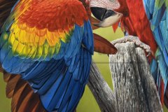 pintura-araras-vermelhas-oleo-sobre-tela-90-x-100-cm-Elton-Brunetti-04