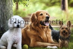 pintura-Caes-amigos-oleo-sobre-tela-60-x-80-cm-Elton-Brunetti-01