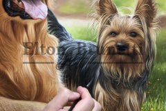 pintura-Caes-amigos-oleo-sobre-tela-60-x-80-cm-Elton-Brunetti-02