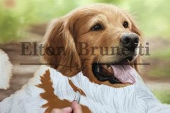 pintura-Caes-amigos-oleo-sobre-tela-60-x-80-cm-Elton-Brunetti-05