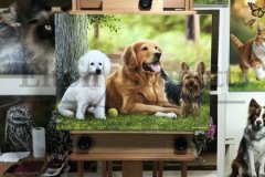 pintura-Caes-amigos-oleo-sobre-tela-60-x-80-cm-Elton-Brunetti-08