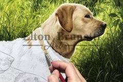 pintura-Caes-de-caca-oleo-sobre-tela-de-linho-sintetico-70-x-100-cm-Elton-Brunetti-03