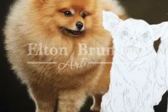 pintura-caes-de-racas-pequenas-50x70-Elton-Brunetti-02