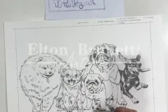 pintura-caes-de-racas-pequenas-50x70-Elton-Brunetti-03