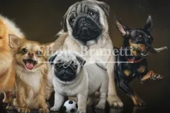 pintura-caes-de-racas-pequenas-50x70-Elton-Brunetti-05