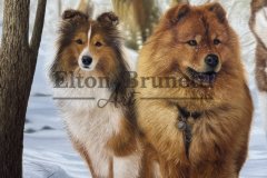 Caes-na-neve-oleo-sobre-tela-70-x-100-cm-01