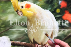 pintura-Calopsitas-oleo-sobre-tela-de-linho-sintetico-60-x-80-cm-Elton-Brunetti-04
