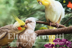 pintura-Calopsitas-oleo-sobre-tela-de-linho-sintetico-60-x-80-cm-Elton-Brunetti-05