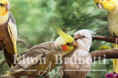 pintura-Calopsitas-oleo-sobre-tela-de-linho-sintetico-60-x-80-cm-Elton-Brunetti-07
