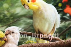 pintura-Calopsitas-oleo-sobre-tela-de-linho-sintetico-60-x-80-cm-Elton-Brunetti-09