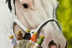 Pintura-de-um-cavalo-Paint-Horse-por-Elton-Brunetti-06