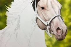 Pintura-de-um-cavalo-Paint-Horse-por-Elton-Brunetti-08