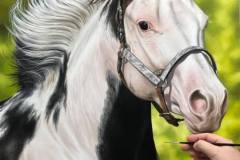 Pintura-de-um-cavalo-Paint-Horse-por-Elton-Brunetti-09