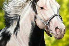 Pintura-de-um-cavalo-Paint-Horse-por-Elton-Brunetti