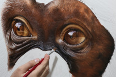 pintura-chimpamze-oleo-sobre-tela-70-x-80-cm-Elton-Brunetti-7