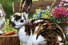 pintura-de-Coelhos-oleo-sobre-tela-60-x-80-cm-Elton-Brunetti-03