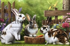 pintura-de-Coelhos-oleo-sobre-tela-60-x-80-cm-Elton-Brunetti-07