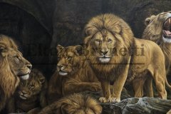 pintura-Daniel-na-cova-dos-Leos-elton-Brunetti-03