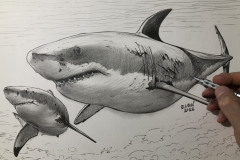 IMG_4997