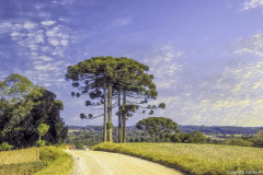 53318476206_b5e7ffb1cb_h