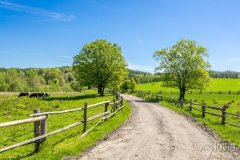 paisagem-campestre-com-estrada-rural-e-ceu-azul-700-124662407