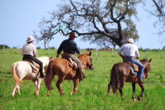 passeio_a_cavalo_rio_da_prata_marcia_ferreira