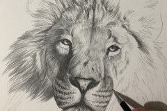 Curso-de-Desenho-de-Felinos-por-Elton-Brunetti-01