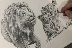 Curso-de-Desenho-de-Felinos-por-Elton-Brunetti-11