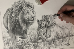 Curso-de-Desenho-de-Felinos-por-Elton-Brunetti-12