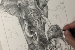 Curso-de-Desenho-de-Felinos-por-Elton-Brunetti-16