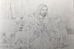 IMG_8038