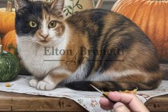 pintura-Gatos-oleo-sobre-tela-de-linho-sintetico-70-x-100-cm-por-Elton-Brunetti-03