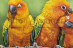 pintura-Jandaia-sol-oleo-sobre-tela-de-linho-sintetico-70-x-100-cm-Elton-Brunetti-02