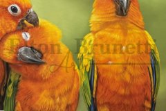 pintura-Jandaia-sol-oleo-sobre-tela-de-linho-sintetico-70-x-100-cm-Elton-Brunetti-04