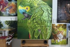 IMG_7486
