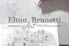 Pintura-Peixes-beta-oleo-sobre-tela-60-x-90-cm-Elton-Brunetti-01