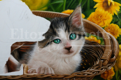 pintura-gato-e-cao-pequenos-amigos-por-elton-brunetti-3