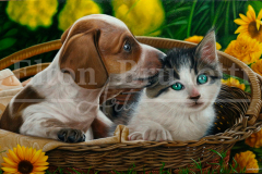 pintura-gato-e-cao-pequenos-amigos-por-elton-brunetti-4
