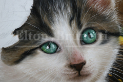 pintura-gato-e-cao-pequenos-amigos-por-elton-brunetti-5