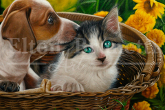 pintura-gato-e-cao-pequenos-amigos-por-elton-brunetti-6