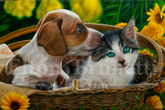 pintura-gato-e-cao-pequenos-amigos-por-elton-brunetti-7