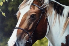 04759111-98e4-4577-918a-9a5a7d7f64f1