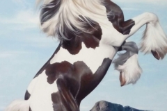 2373f15c-9d77-436a-8ac5-a9b8e026cdfd